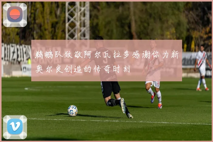 鹈鹕队致敬阿尔瓦拉多感谢你为新奥尔良创造的传奇时刻
