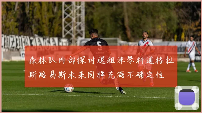 森林队内部探讨退租津琴科道格拉斯路易斯未来同样充满不确定性